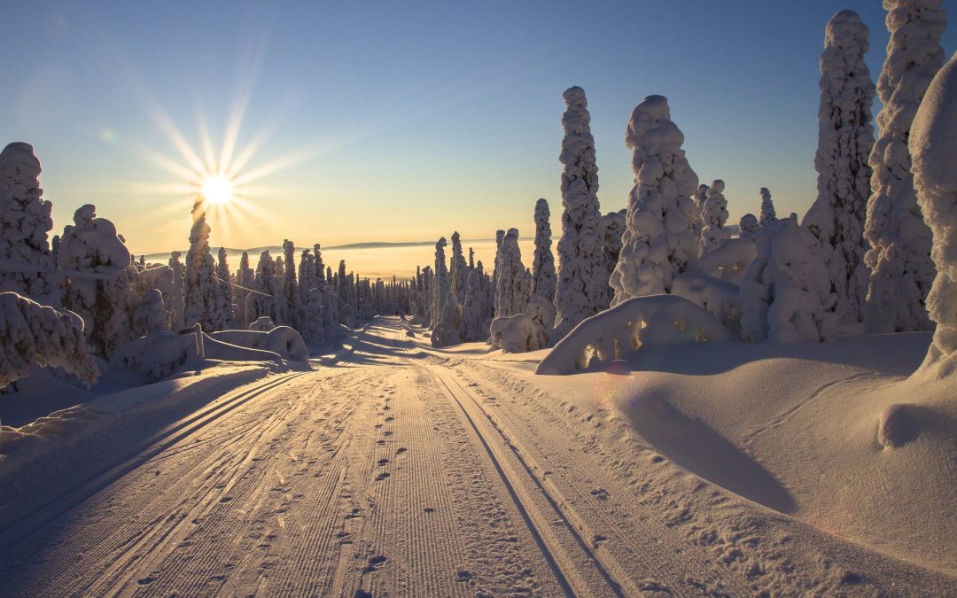 Polarkreis, Artic Circle, Finnland, Finland, Lapland, Lappland